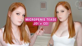 Micropenis Tease JOI + CEI