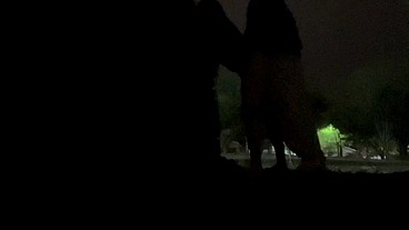 Aline Tavares O tesão foi tanto que transamos com os casais na Lagoa do Taquaral Campinas. O novinho dotado me fodeu gostoso e me deu um banho de porra mais a nossa bela mijada no final