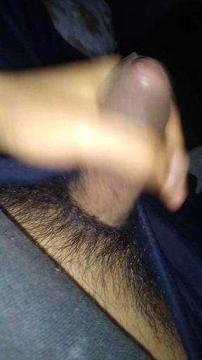 Pleasure in the Afternoon
