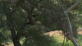 Classy couple enjoys a hardcore threesome in a secluded garden