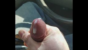 Lunch time nutt time