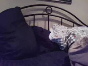 Furry Daddies Cumming Together