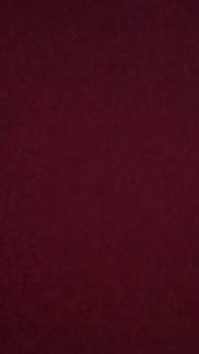 coño de latina mojadita, sexo casual con mi compañera de trabajo