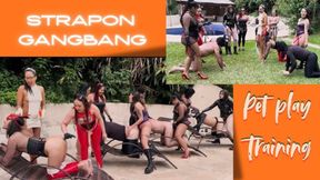 Pet training Strapon Gangbang