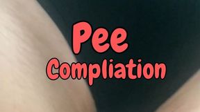 Hairy Bush Public Toilet Piss Compilation Part 2