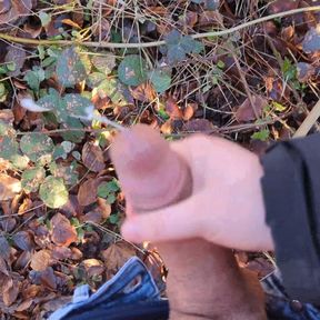 Risky handjob on a busy hiking trail - we almost got caught