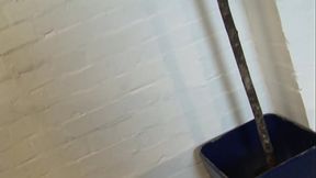 Tracy Venus Mermaid Role Play Has Her Ditch The Tail So He Can Fuck Her!