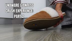 Unaware giantess crush experience: part 2 - OnlyVanessa (custom clip)