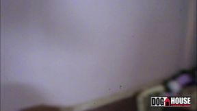 fodendo o rabo da estrela porno - anita ferrari - mad dog