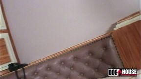 fodendo o rabo da estrela porno - anita ferrari - mad dog