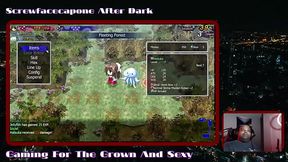 Dawn of Kagura: Hatsuka'_s story - Clearing the first level