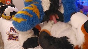 Big dog knots sweet furry kitty raw praise size gap fucks