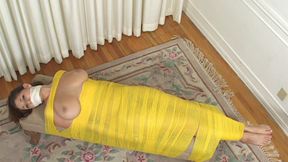 Luscious Shay Laren Lays Secured To A Bench, Tits Out And Mouth Gagged!