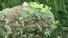 Hot Red Cap gets seduced and fucked