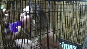 Morning routine in my cage