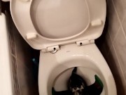 Pee on Plush AirPlane
