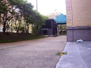 Mulberry Street Flashing I