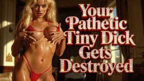 Your Pathetic Tiny Dick Gets Destroyed