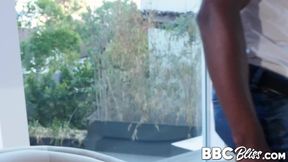 MILF Silvia Saige deepthroats BBC and rides reverse cowgirl