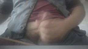 The Wild Side of a Perfect Curved Dick