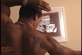 Marques