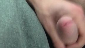 Roadside Cock Stroke in the Car