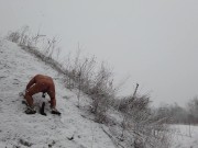 Gay Winter Story - best moments from new video - outfdoor public dildo play and hole stretching