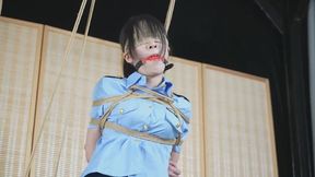 shufu16- single leg suspension