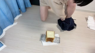 [Bread vs pee] Which would have won if I peeed on the bread?