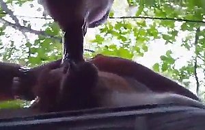Sucking in the park