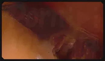 Sultry Latina Seduction: Outdoor Affair