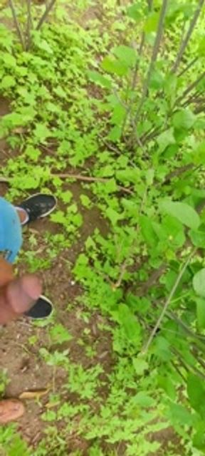 I went for a walk in the woods with my sister-in-law and ended up sucking my cock