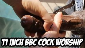 SUNNY 11 INCH BBC COCK WORSHIP