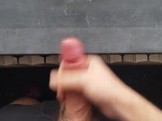 Sega davanti alla finestra