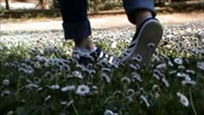 I film my girlfriend tramples lot of little flowers