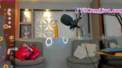 Brunette Tgirl In Lingerie