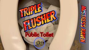 TRIPLE FLUSHER - PUBLIC TOILET