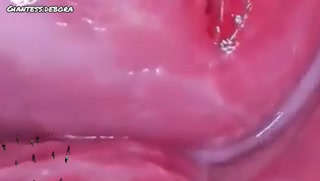 Shrinking -Tiny Bus Insertion – I Stuffed Them All Inside My Pussy