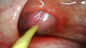 Deep inside her hole, my big cock&#x1F346; drives hard, cumshot flooding her ass&#x1F351;