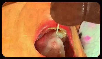 Ultimate Try Not to Cum Challenge with Stunning BBW