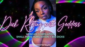 Dick Ratings With Goddess Marley - AVI
