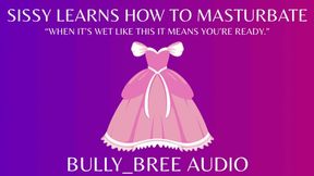 Sissy Learns How to Masturbate Audio
