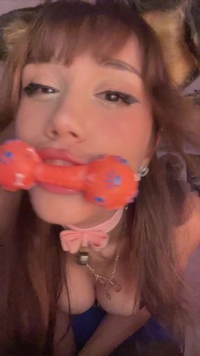 Playful puppy girls get their toys