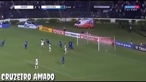 RAPOSA COMENDO CU DOS VASCA&Iacute_NOS EM S&Atilde_O JANU&Aacute_RIO NO PELO SEM CUSPE