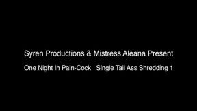 One Night In Pain Cock- Single Tail Ass Shredding Part 1 (MOV HD)