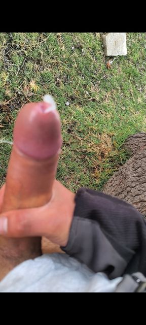 Dick flash. Masturbation outdoors while some women herd cattle, they love to see how I come