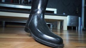 JOI game for my stable boy: kiss my jodhpurs ass and lick my riding boots!