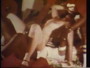 Sexy hairy chick fucked in interracial threesome