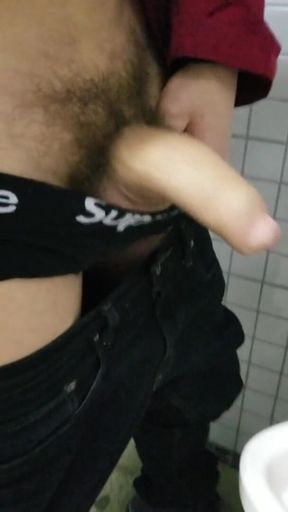 Johnholmesjunior Flashing His Monster Cock in Men's Vancouver Park Bathroom Pt1