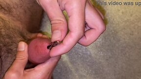 Extreme urethral torture and penis insertion with cbt